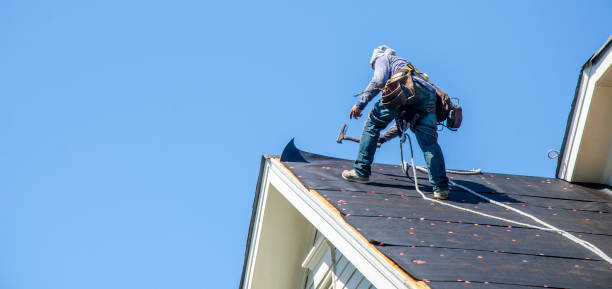 Best Roof Restoration Services  in Avis, PA
